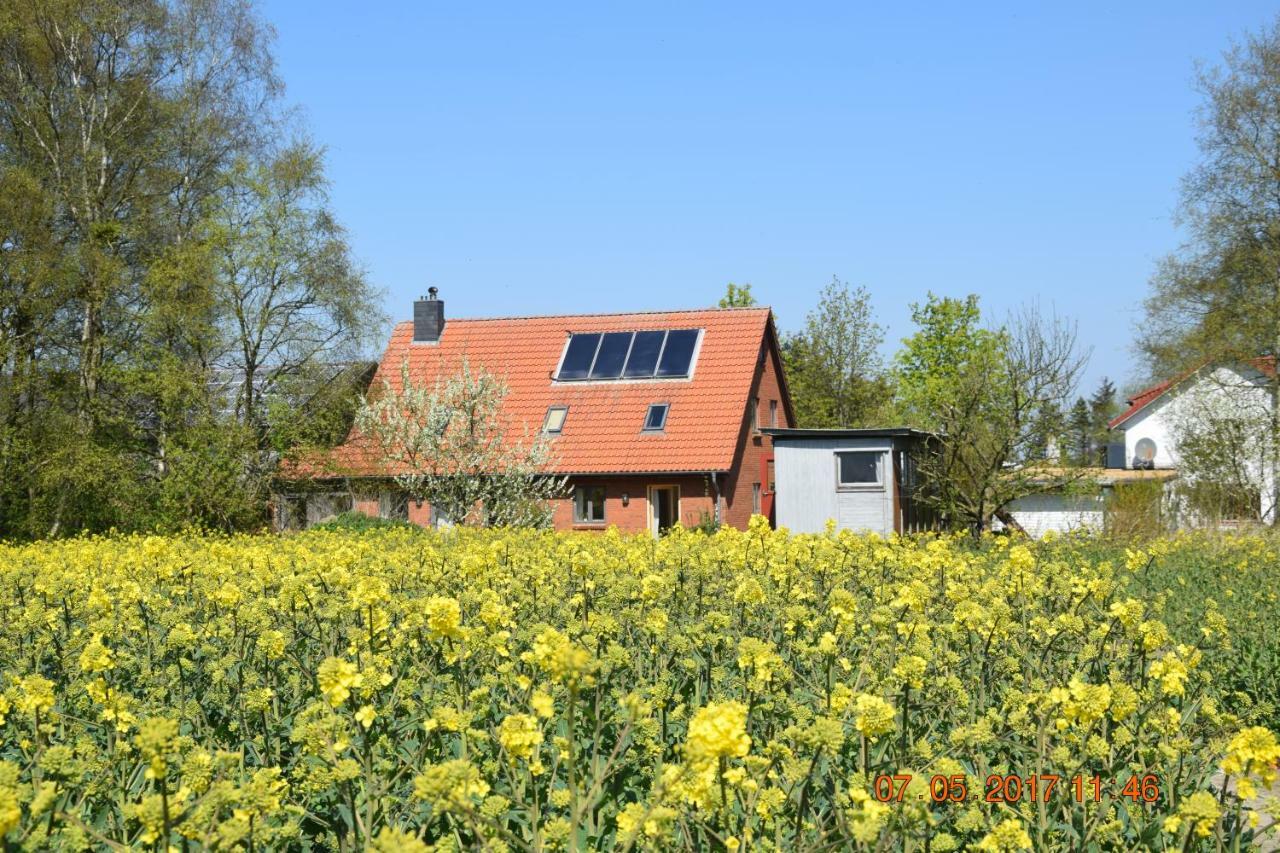 Ferienwohnung Mit Tiny House Freienwill Exterior photo